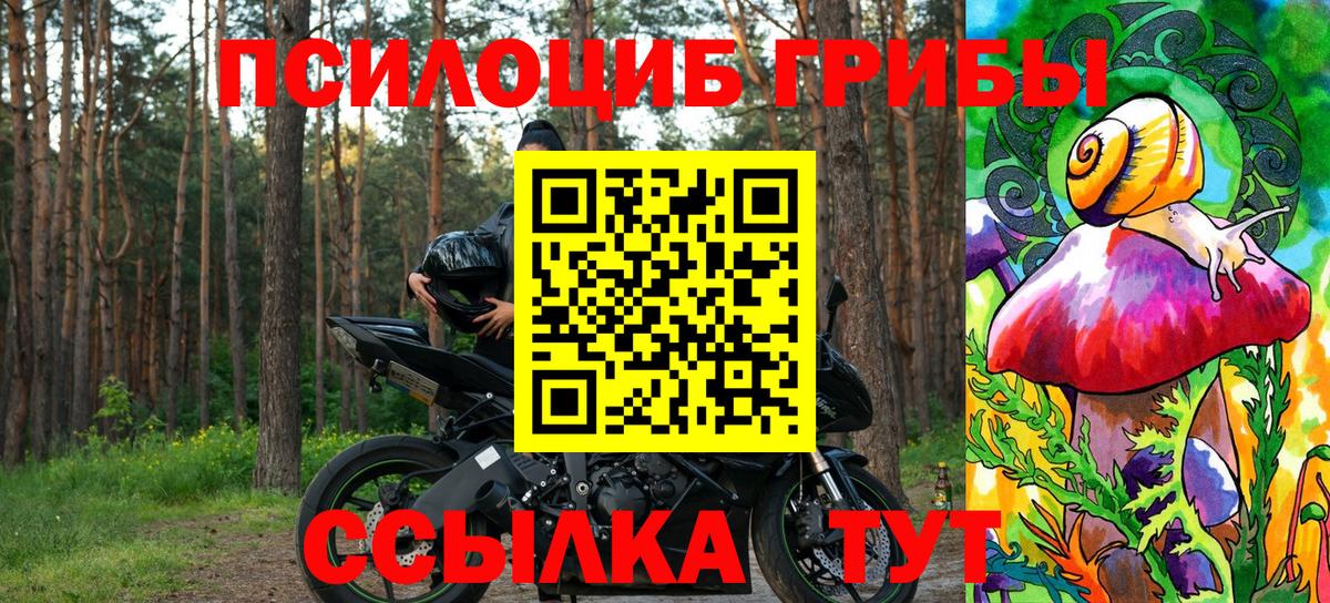 Чайковский  Псилоцибиновые грибы Psilocybe  Галлюциногенные грибы Psilocybine cubensis  Вход с VPN 