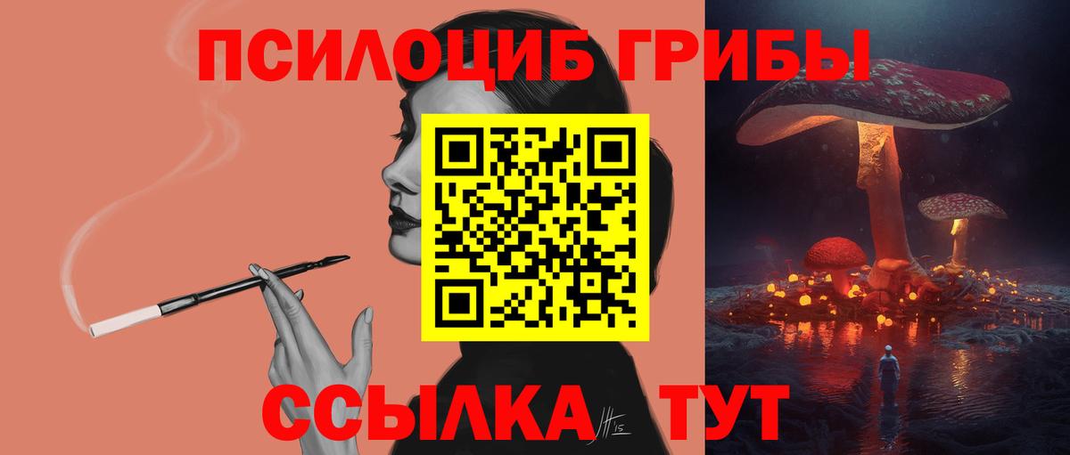 Псилоцибиновые грибы Psilocybine cubensis Чайковский