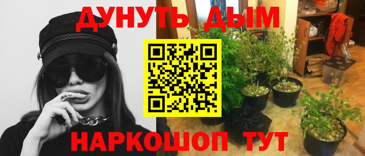 Чайковский  Марихуана Amnesia  Каннабис OG Kush  Каннабис план  Вход с VPN 